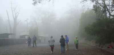 A thick fog and 35 mm of rain.